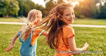 Hull's Zebfest returns with a bang in time for summer