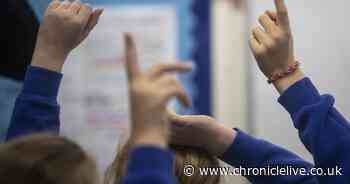 Northumberland faces £6m shortfall for special needs education funding next year