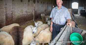 Dick en Ellis vinden hun schaap doodgebeten in de wei en dat komt niet door de wolf