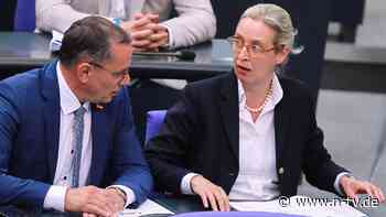 Ausschussvorsitze verweigert: Fraktionen von Orban und AfD gehen bei EU-Posten leer aus