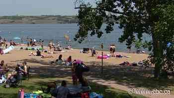 40 per cent of Sask. lakes have toxic algae — here’s what you should know