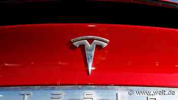 Tesla-Gewinn bricht drastisch ein
