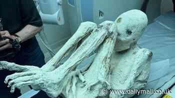 Mystery around controversial Peru 'alien mummies' deepens after new fingerprint analysis indicates they're NOT 'HUMAN'
