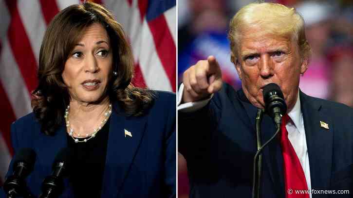 Margin of error race between Harris-Trump in new poll conducted after Biden dropped