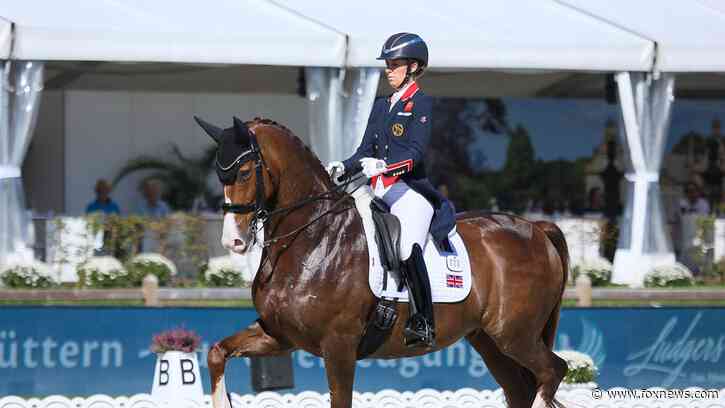 Gold medal equestrian rider withdraws from Olympics after video shows alleged 'error of judgment' with horse