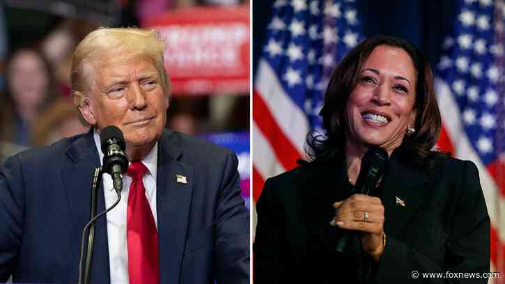 Allies urge Trump to minimize DEI attacks, focus on Harris' 'terrible' record: 'Wrong hole to go down'