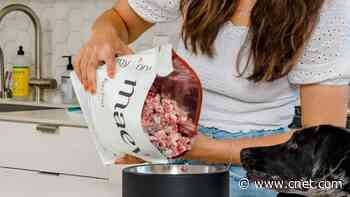 Best Dog Food Delivery Services for 2024