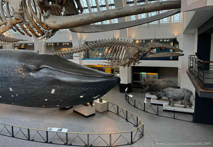 Beck Interiors files administration notice