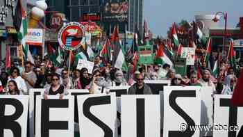 Hundreds rally for Palestinians on both sides of Canada-U.S. border in Niagara