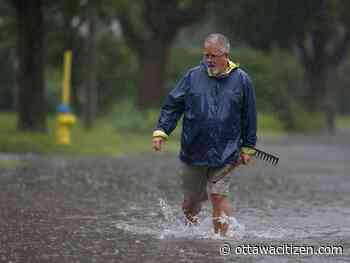 'We know this is coming': More high-volume rainfall events in Ottawa's future