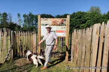 Nieuwe hondenlosloopweide geopend: “Om te snuffelen en te scharrelen”