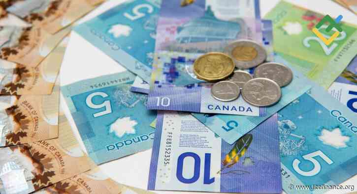 Loonie Faces Double Whammy. Forecast as of 24.07.2024