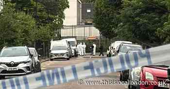 Stellman Close, Hackney, stabbing: Picture of scene