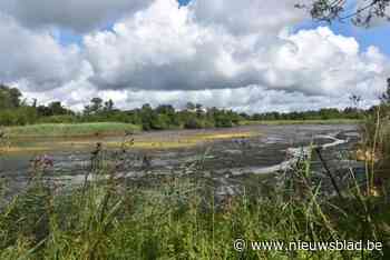 Vijver in Hageven loopt leeg door dijkbreuk: “De Dommel ligt te diep en stroomt te snel”