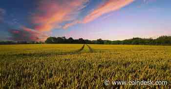 AgriDex Settles First Agricultural Trade on Solana Blockchain