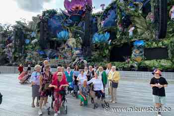 Tomorrowland legt buurtbewoners in de watten