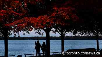 The Old Farmers' Almanac just released Ontario's fall forecast. Here's what to expect