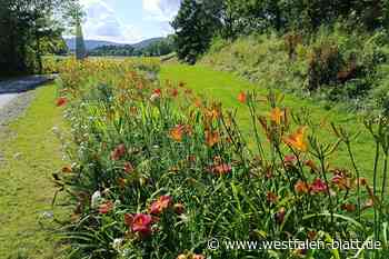 Trompetenkonzert im Höxteraner Tagliliental