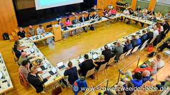 Sitzung des  neuen Gemeinderats: Nagolds AfD-Chef   kündigt juristische Prüfung an