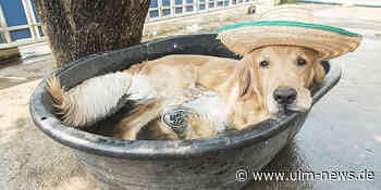 Schools out - Ferien- und Urlaubs-Beginn,- aber unbeständige Wetterlagen