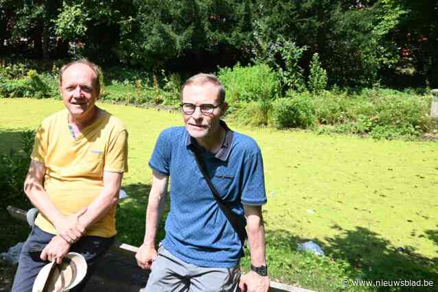 Nachtvlindersafari in Stadstuin Messeyne: “Als je de witte tijger, hyena of grote huismoeder wil ontdekken is dit je kans”