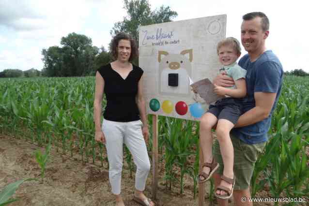 Ondanks regenachtig voorjaar is maïsdoolhof van Stefanie en Roel eindelijk klaar: “Een unieke combinatie van een escape room en cluedo”