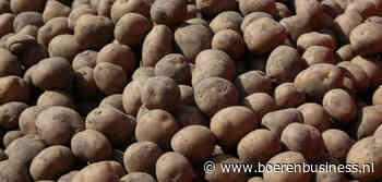 Egypte trekt wél hard aan Schots pootgoed