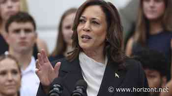 US-Präsidentschaftswahlkampf: Dringend gesucht: Die Marke "Kamala Harris"