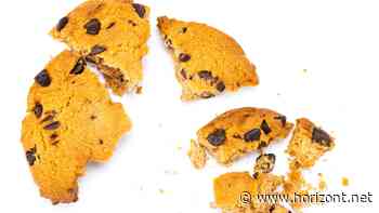 Privacy-Sandbox-Projekt: Werbeverbände reagieren verhalten auf das Cookies-Aus