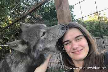 Pootjesparadijs van start met officiële erkenning voor dierenopvang