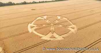 Crop circle appears near Badbury Rings in Dorset