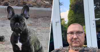 Vakantie van Anton eindigt in nachtmerrie: hondje Bonny vergiftigd en overleden