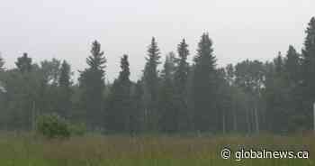 Out-of-control wildfire forces evacuations northwest of Calgary