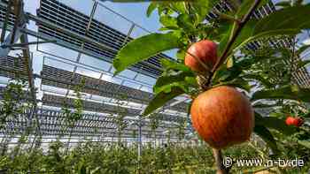 Großer Haufen Finanzschulden: Wankende Baywa bekommt eine erste Finanzspritze