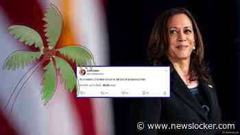 Republikeinen zoeken naar effectieve manieren om Harris aan te vallen