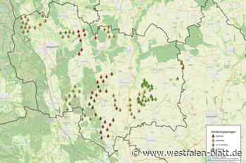 Willebadessen: CDU und SPD zeigen AfD-Stadtverband  bei der Polizei an