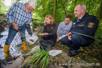 Entwarnung für den Schloßhofbach nach Großbrand in Bielefeld