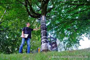 Geschälter Ahorn in Hiddenhausen bleibt Sorgen-Patient