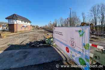 Warburg Hoher Schaden durch Dachshöhlen an Bahnstrecken