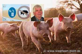 Nach Fall in Hessen: Angst vor der Afrikanischen Schweinepest geht um