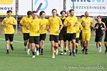 Youri Lapage staat voor historisch jaar met Leeuwkens Teralfene: “Na veertig jaar terug in eerste provinciale”