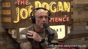 Scientists say they may have discovered origin of consciousness - and it's a theory popularized by Joe Rogan