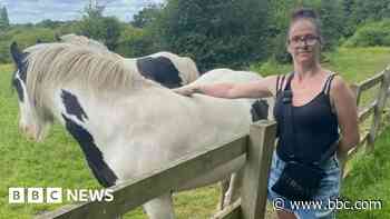 Mother was killed in attack by pet American bulldog