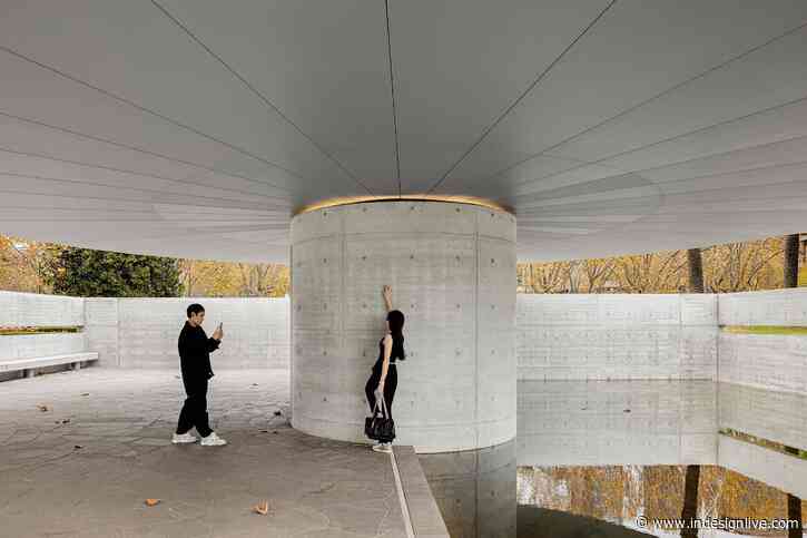 Seeing what you know, or is it knowing what you see?