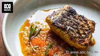 Want to buy sustainable seafood? These tips can help