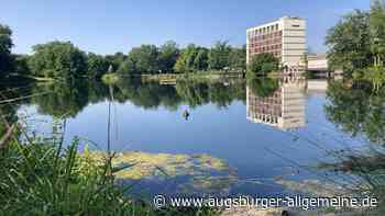 Vermisster tot im Ausee gefunden: Was passierte auf dem Volksfest?