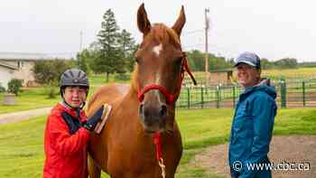 Thunder Bay farm offers emotional support — with help from its horses