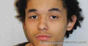 Florence Terrace Lewisham: Hunt for third murder suspect