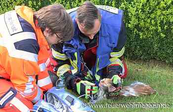 Wohnhaus-Brand: zwei Menschen und eine Katze gerettet