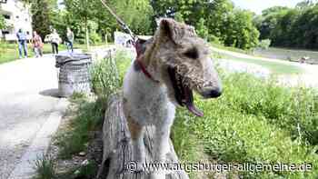 So läuft es mit Leinenpflicht am Flößerpark in Lechhausen